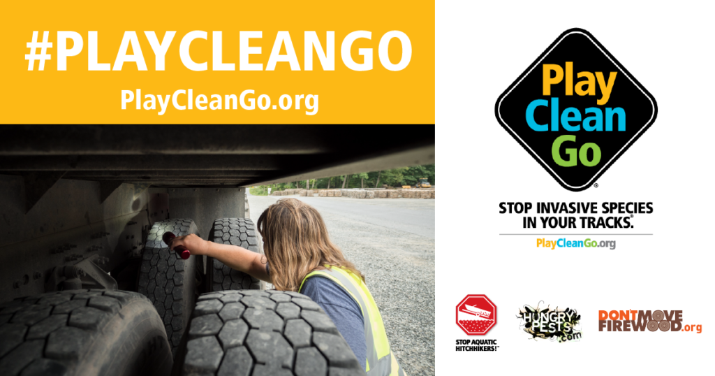 Woman checking for Spotted Lanternfly in wheels. Orange header with #PlayCleanGo and PlayCleanGo.org at top.