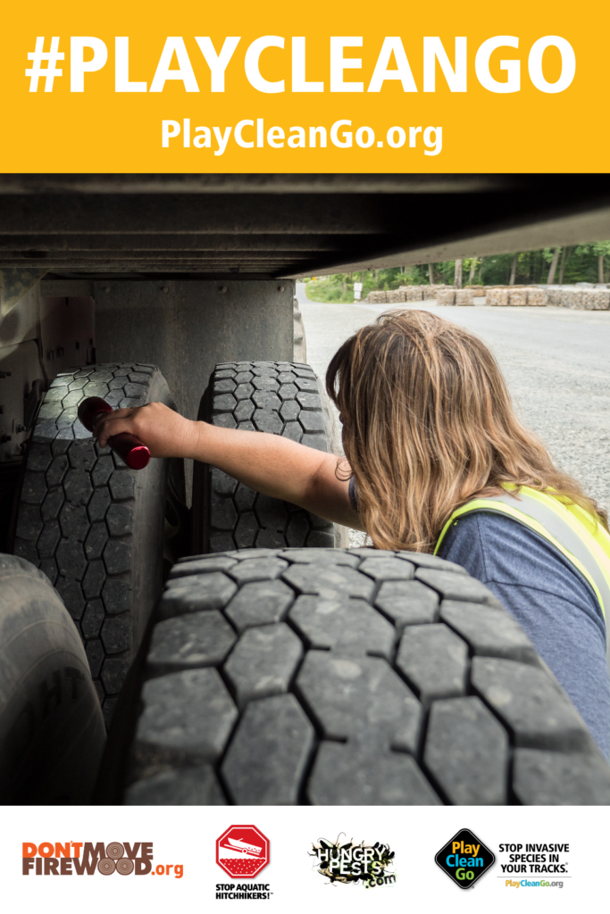 Woman checking for Spotted Lanternfly in the wheels. Orange header with #PlayCleanGo and PlayCleanGo.org at top.