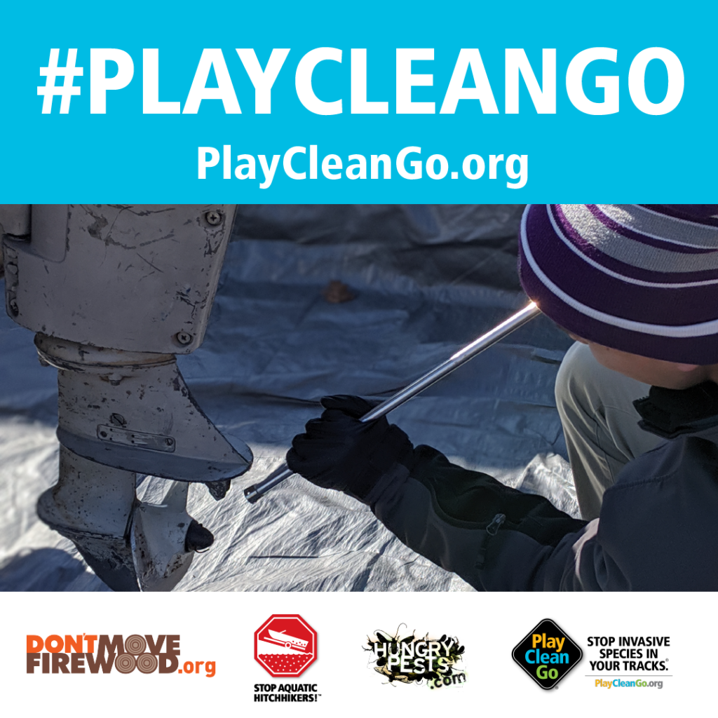Man cleaning a motorboat. Blue header with #PlayCleanGo and PlayCleanGo.org at top.