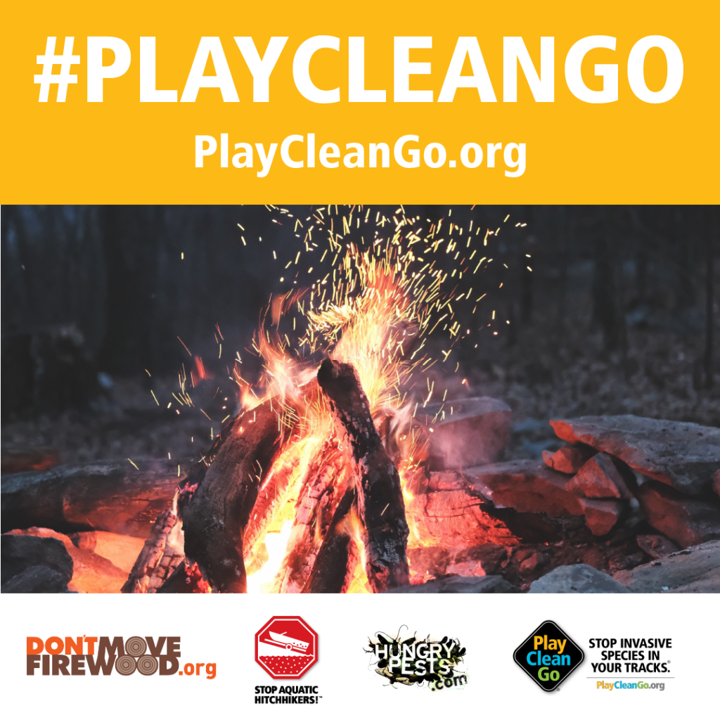 Bonfire at night. Orange header with #PlayCleanGo and PlayCleanGo.org at top.