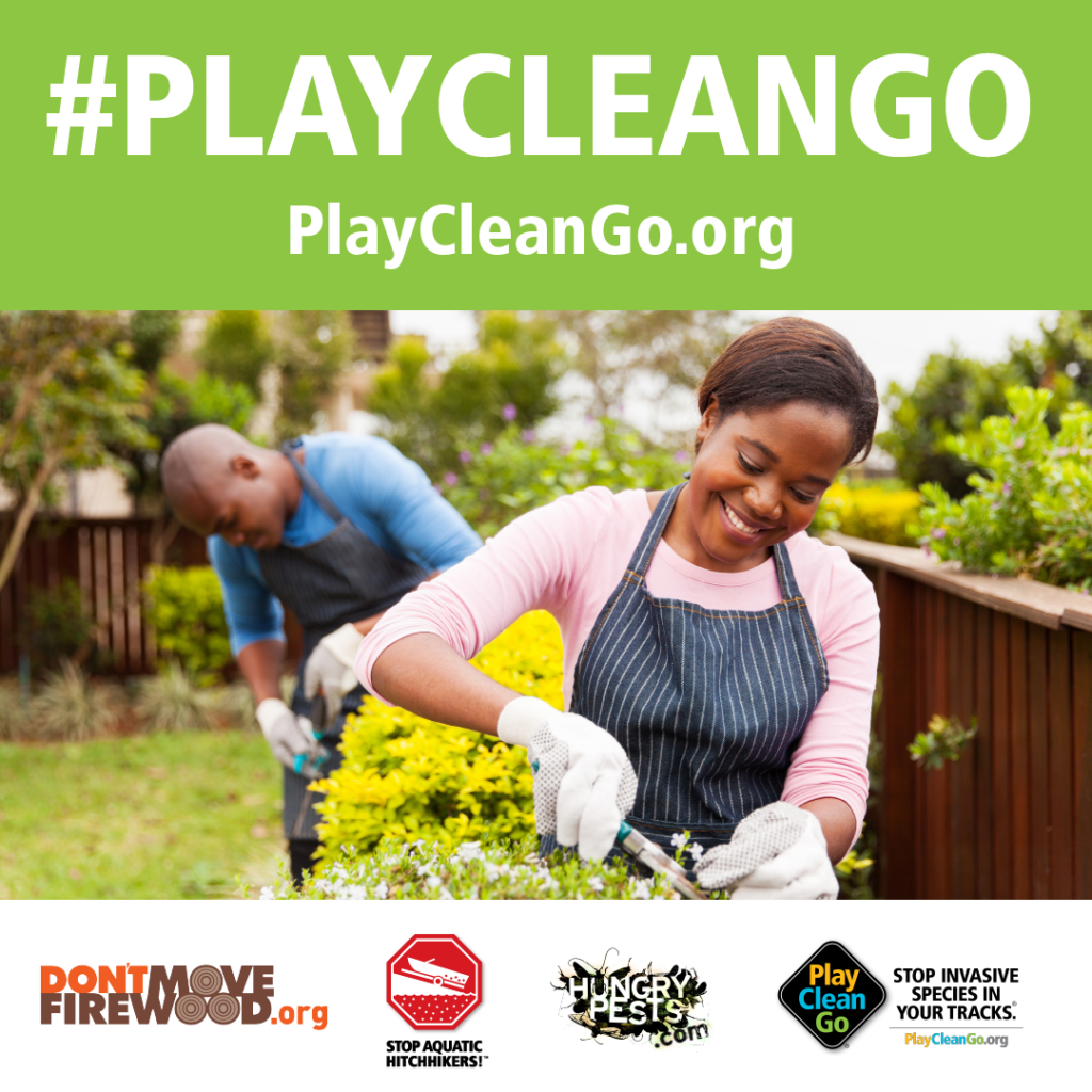 Woman gardening. Green header with #PlayCleanGo and PlayCleanGo.org at top.