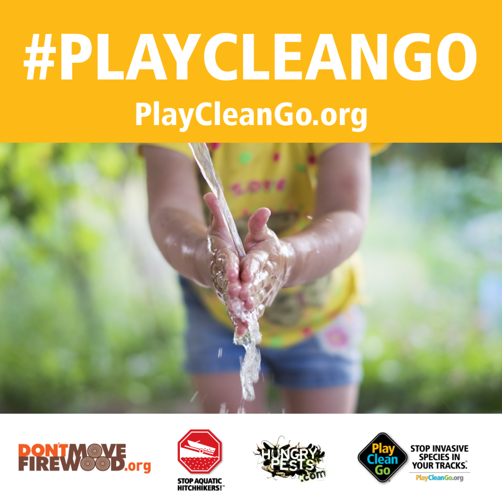 Girl washing her hands. Orange header with #PlayCleanGo and PlayCleanGo.org at top.
