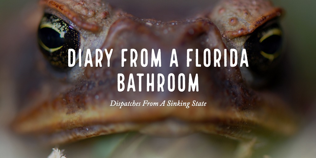 Close-up on a frog face with "Diary from a Florida Bathroom" title.