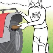 ATV being brushed. 