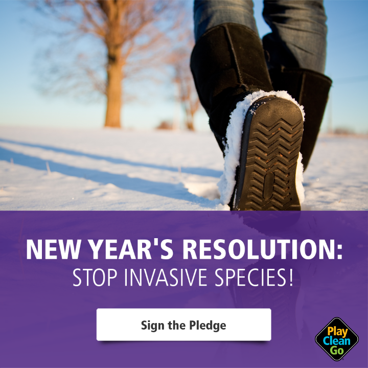 PCG New Year Resolution Pledge.