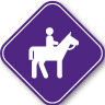 Horse Back Riding icon on purple