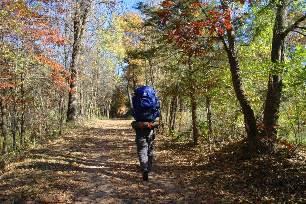 Fall hiking in the woods