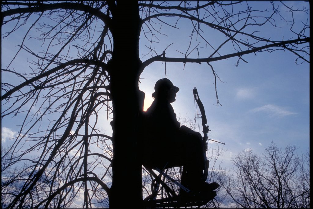 Bow hunting in tree