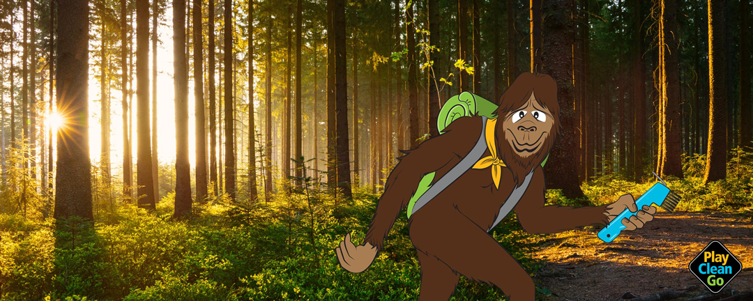 Steward hiking in the woods holding a handheld boot brush