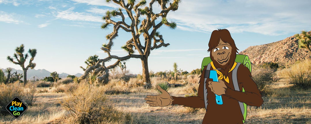 Steward hiking at Joshua Tree National Park