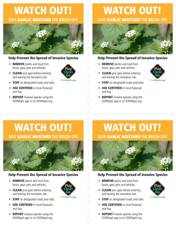 Watch Out! Garlic Mustard - one page printable