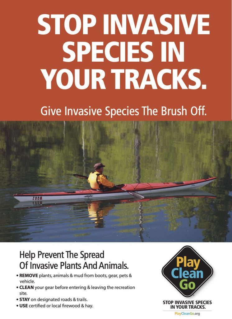 kayaker with "Stop Invasive Species in Your Tracks" over red-orange background
