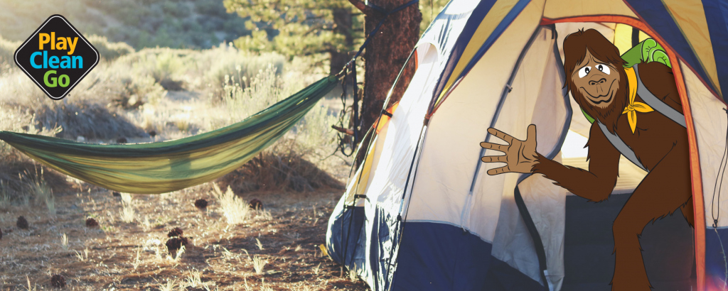 Steward Camping Tent with hammock