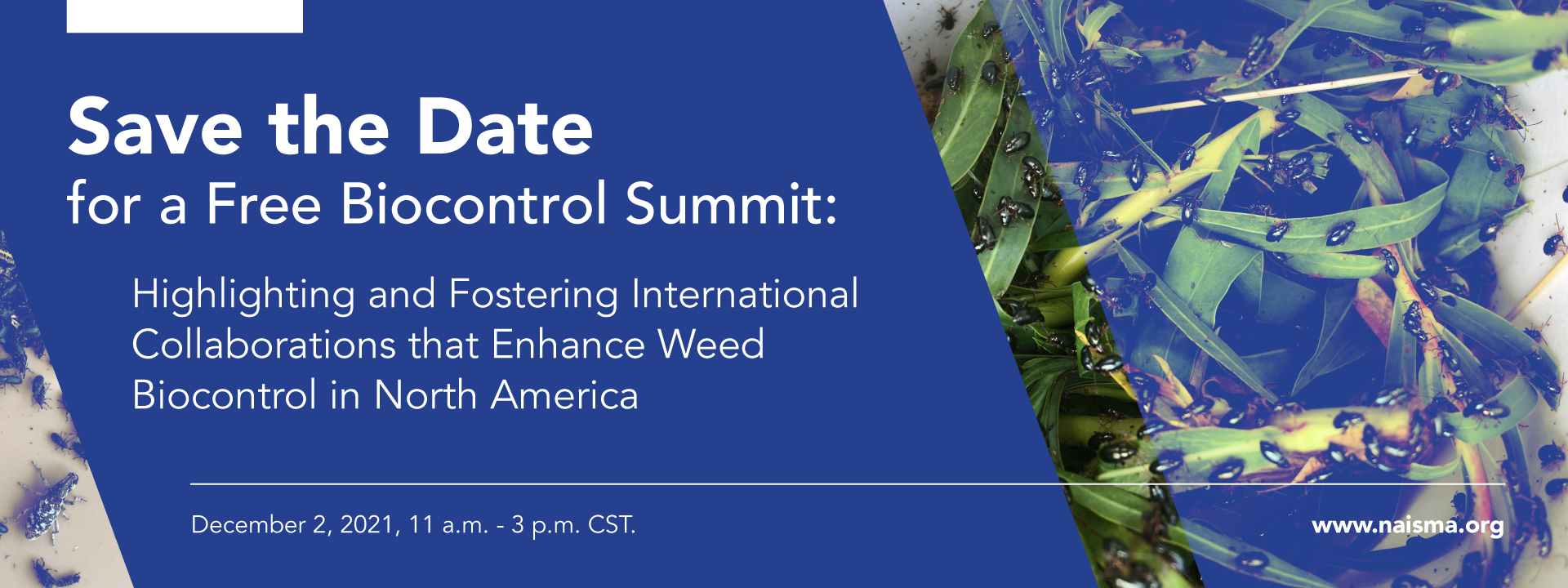 Save the Date graphic for weed biocontrol summit