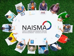 aerial image of 14 people sitting around a table with large NAISMA logo in center
