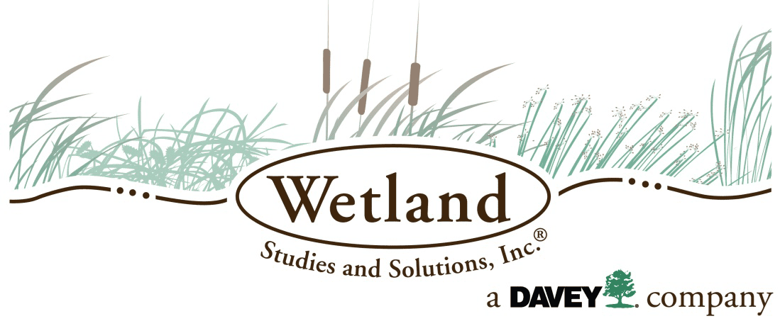 Wetland Studies and Solutions, Inc. logo