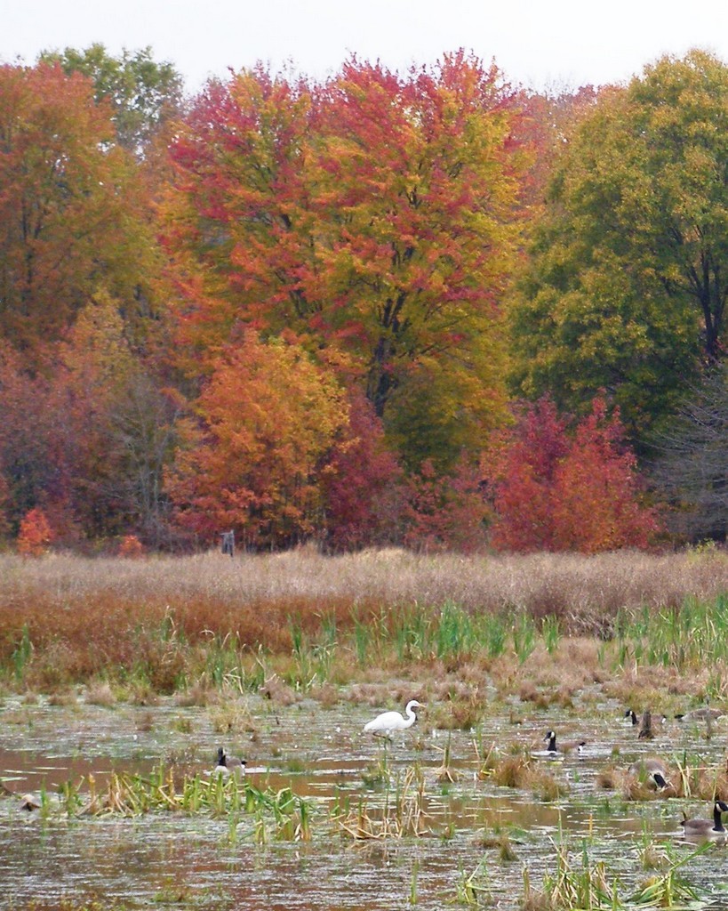 Rock Creek Park field experience preview image 4