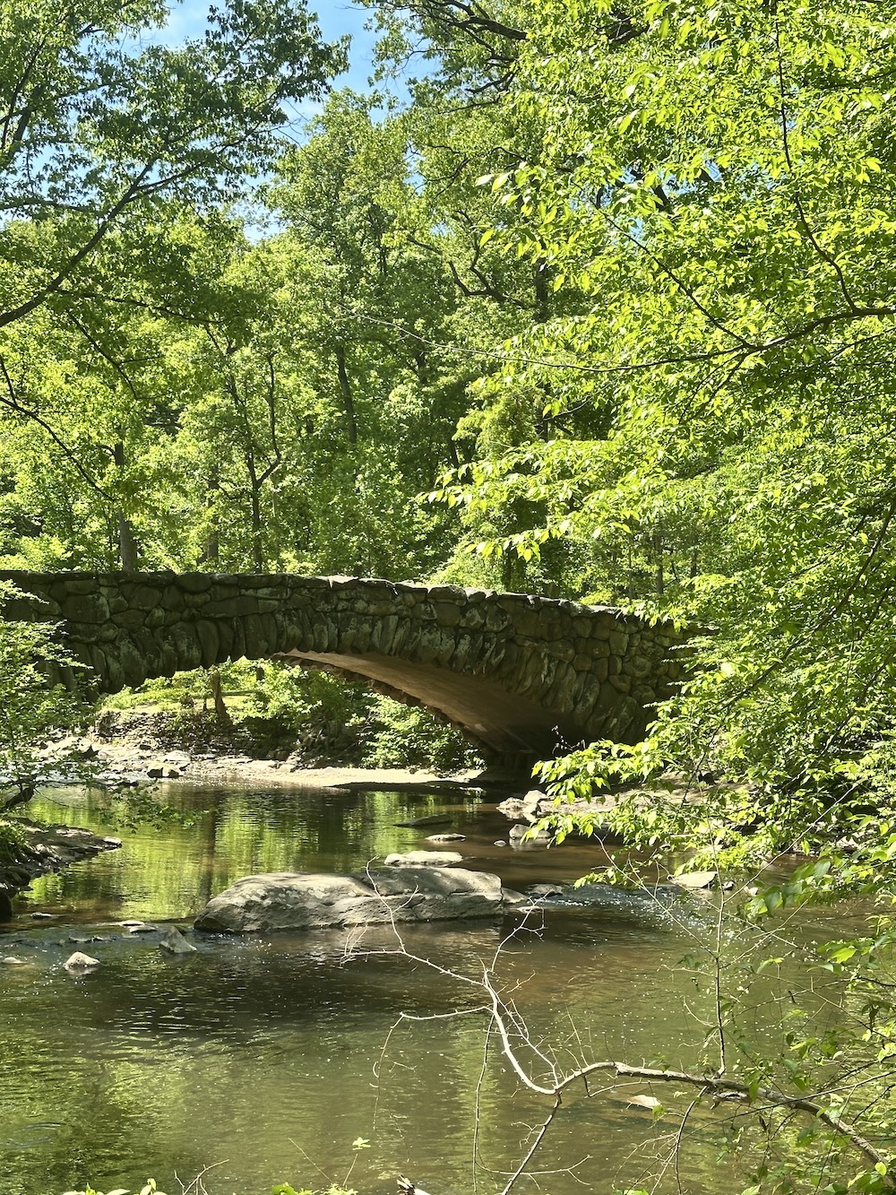 Placeholder image for Rock Creek Park tour