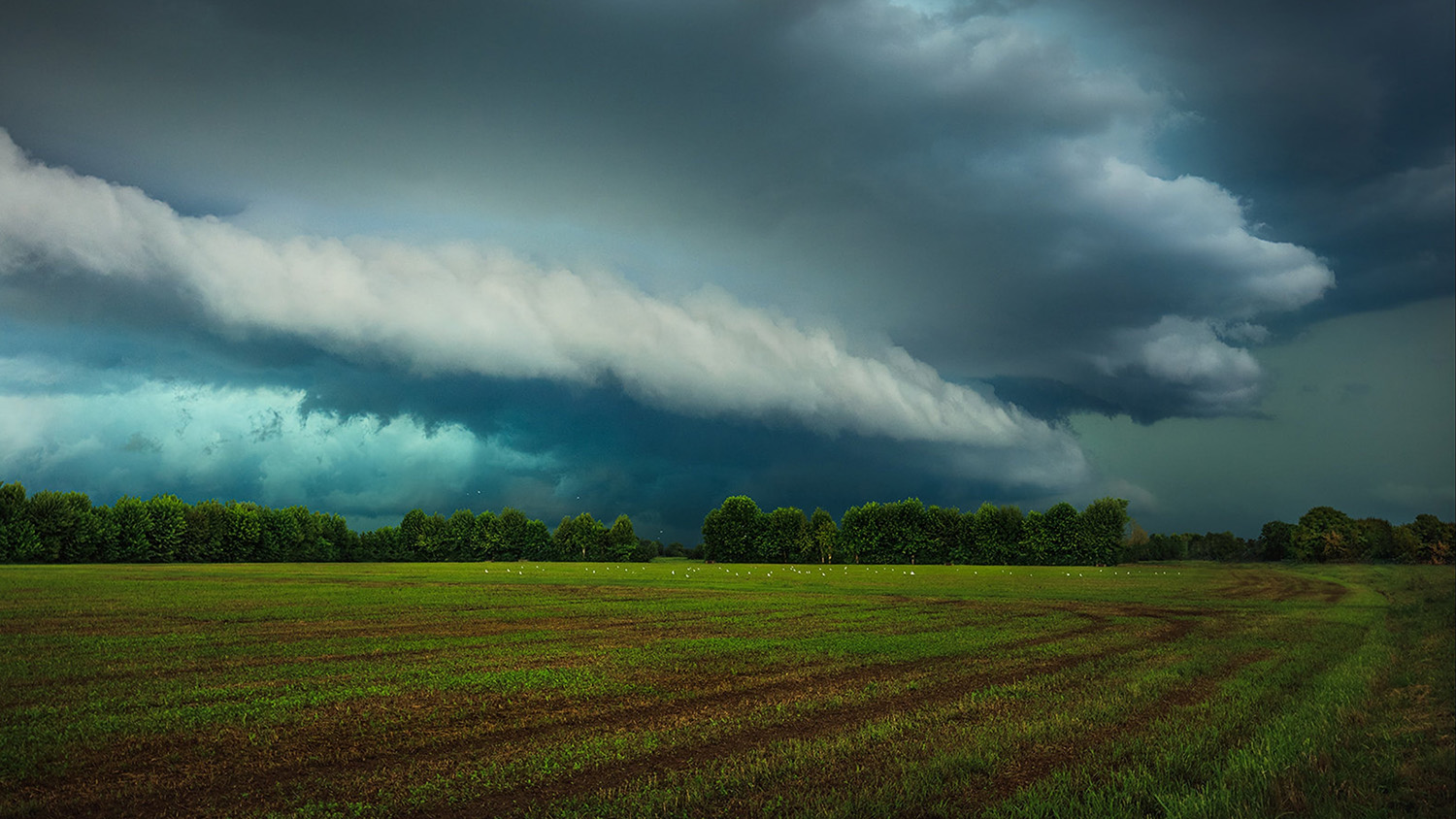 climate333