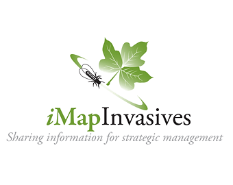 iMapInvasives Network logo
